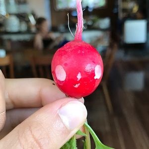 Meet your Posher, Iota